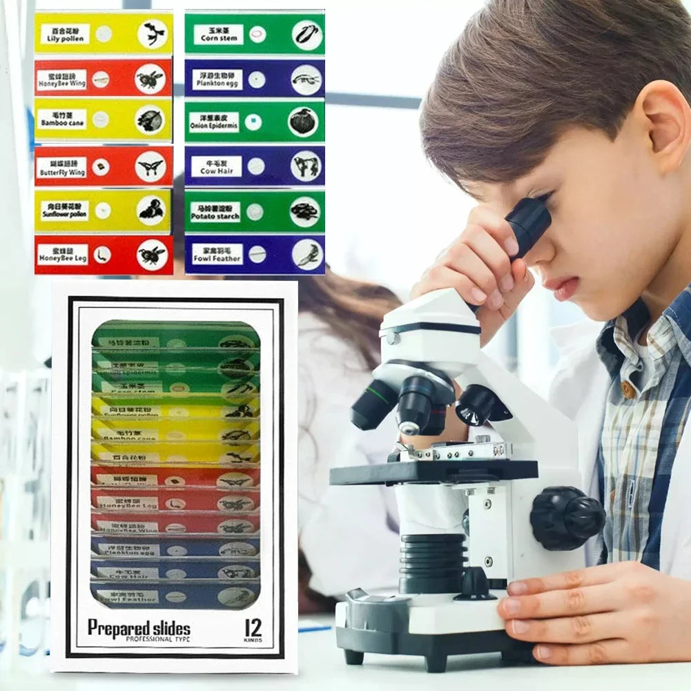 Kids Science Microscope with LED Light Battery Powered Handheld Microscope Light Home School Biological Science Educational Toys